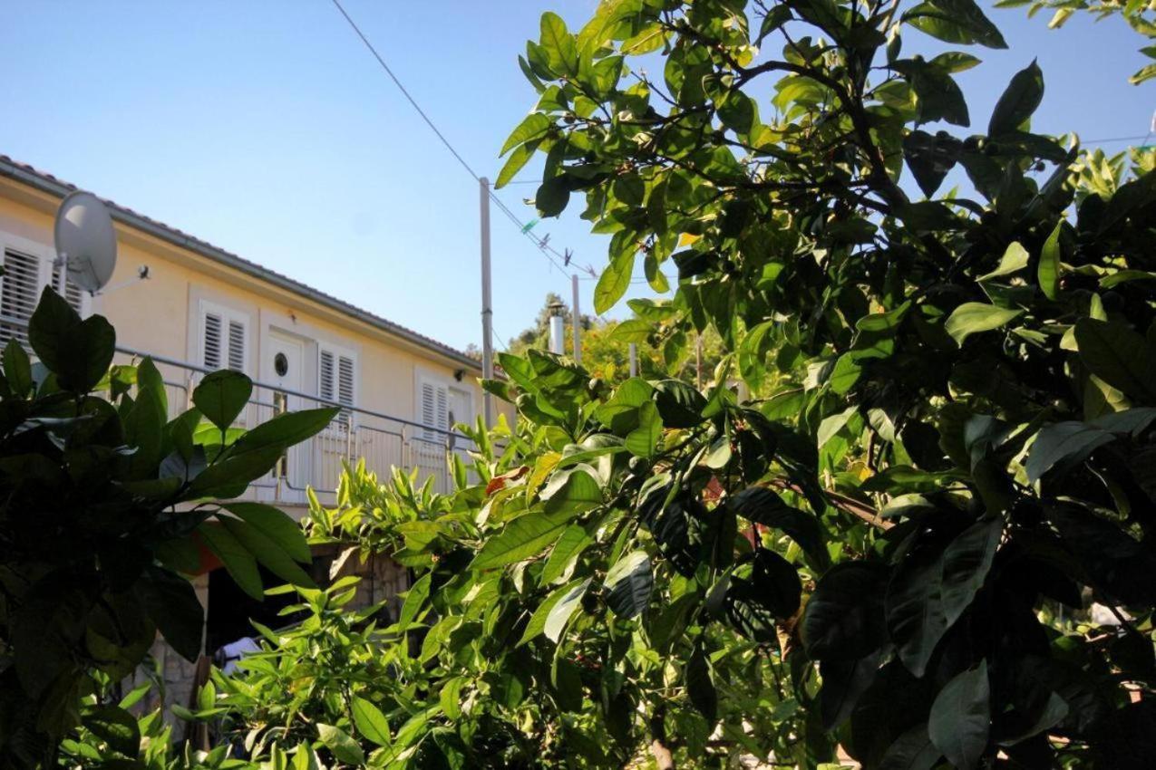 Guesthouse Gradina Lovište Exteriör bild